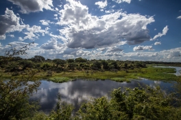 Botswana 2014-84
